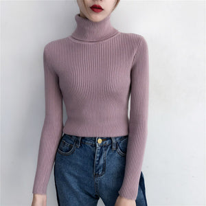 Women's Acetate Turtleneck Full Sleeve Casual Pullover Sweaters