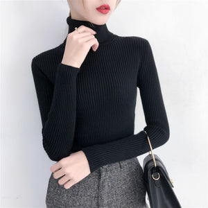 Women's Acetate Turtleneck Full Sleeve Casual Pullover Sweaters