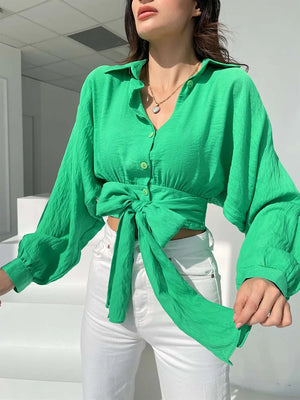 Women's Turn-Down Collar Polyester Long Sleeves Casual Blouses