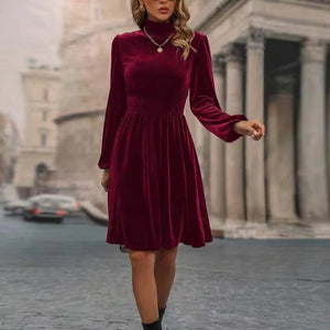 Women's Polyester High-Neck Long Sleeves Solid Pattern Mini Dress