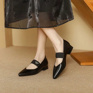 Women's Microfiber Pointed Toe Elastic Band Closure Casual Shoes