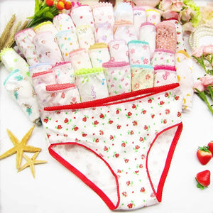Kid's Girls 6Pcs Cotton Quick-Dry Printed Underwear Panties