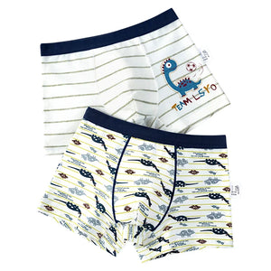 Kid's Boy 2Pcs Cotton Quick-Dry Printed Pattern Underwear Shorts