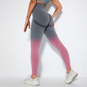 Women's Spandex Elastic Waist Sport Wear Gym Wear Yoga Leggings