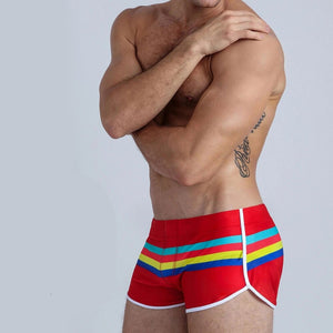 Men's Polyester Quick Dry Striped Pattern Beach Swimwear Shorts