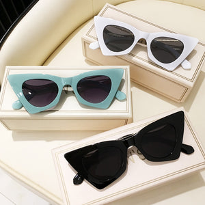 Women's Plastic Frame Polycarbonate Lens Full Rim Sunglasses